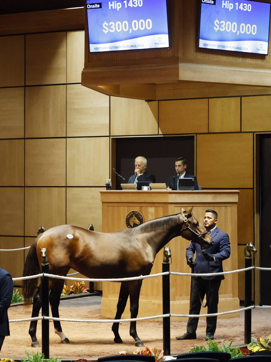 $300,000 at '24 F-T Oct | Colt o/o Capable | Purchased by Winchell Thoroughbreds | Z photo