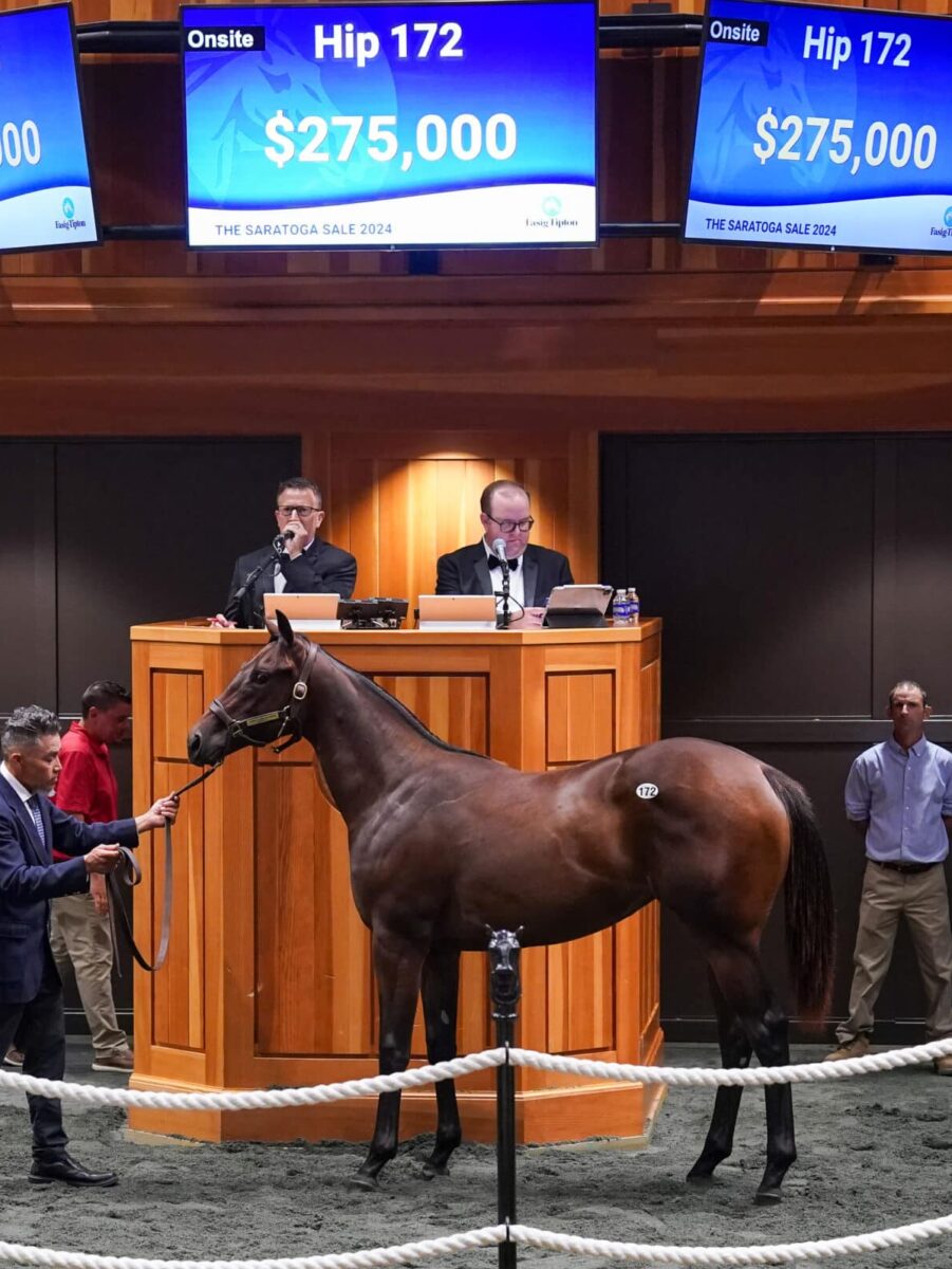 $275,000 at '24 F-T Saratoga | Filly o/o Stormbeforethecalm | Purchased by Red White and Blue Racing | Z photo