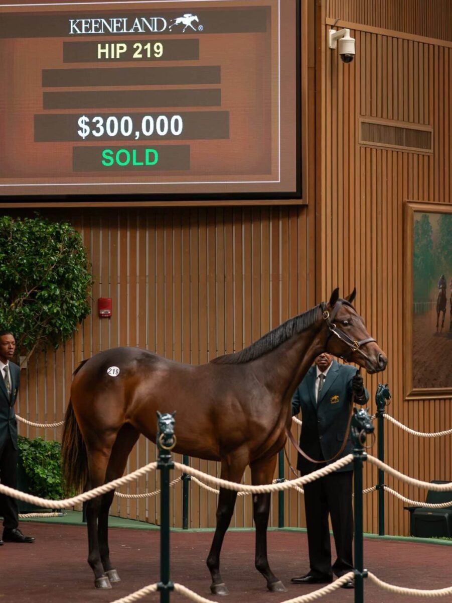 $300,000 at '24 KEESEP | Filly o/o Skipped | Purchased by G. Watts Humphrey, Jr. | Nicole Finch photo