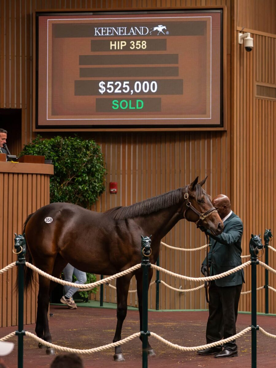 $525,000 at '24 KEESEP | Filly o/o Clarendon Fancy | Purchased by November Hill | Nicole Finch photo