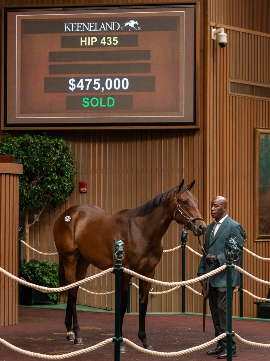 $475,000 at '24 KEESEP | Filly o/o Green Eyed Cat | Purchased by Selective/Cary Bloodstock, Agent | Nicole Finch photo