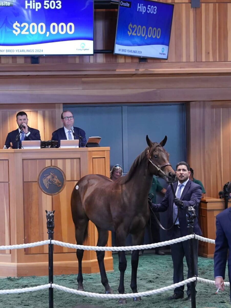 $200,000 at '24 F-T NY Bred | Filly o/o Ignite | Purchased by Klaravich Stable | Z photo