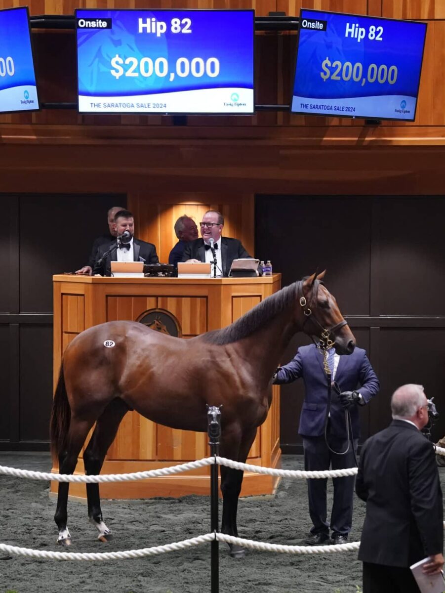 $200,000 at '24 F-T Saratoga | Colt o/o Make Amends | Purchased by Havertz Stables | Z photo