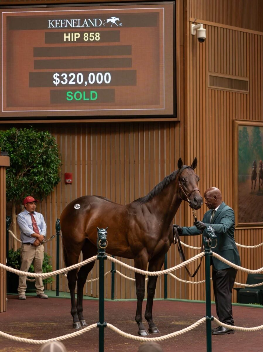 $320,000 at '24 KEESEP | Filly o/o Is That a Thing | Purchased by Ben Gase | Nicole Finch photo