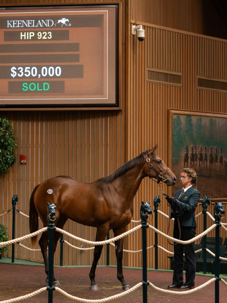 $350,000 at '24 KEESEP | Filly o/o Pay Attention | Purchased by Mayberry Farm | Nicole Finch photo