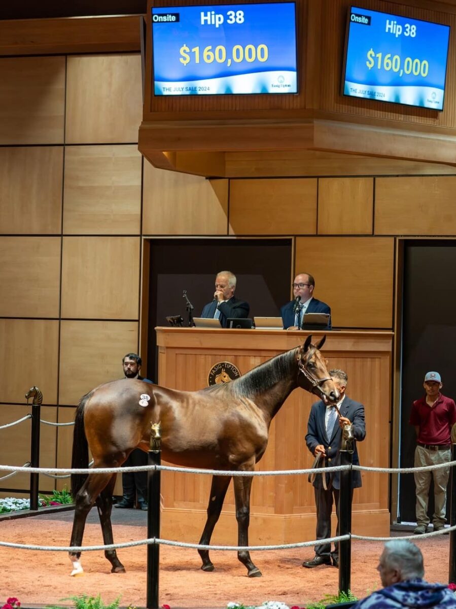 $160,000 at '24 F-T July | Colt o/o Ice Cream | Purchased by Bradley Thoroughbreds | Nicole Finch photo