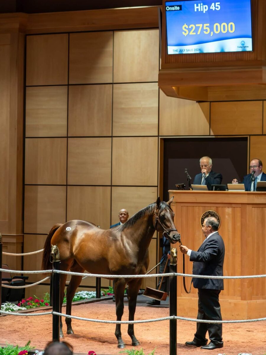 $275,000 at '24 F-T July | Filly o/o Lady Lumberjack | Purchased by U.S. Racing Stables | Nicole Finch photo