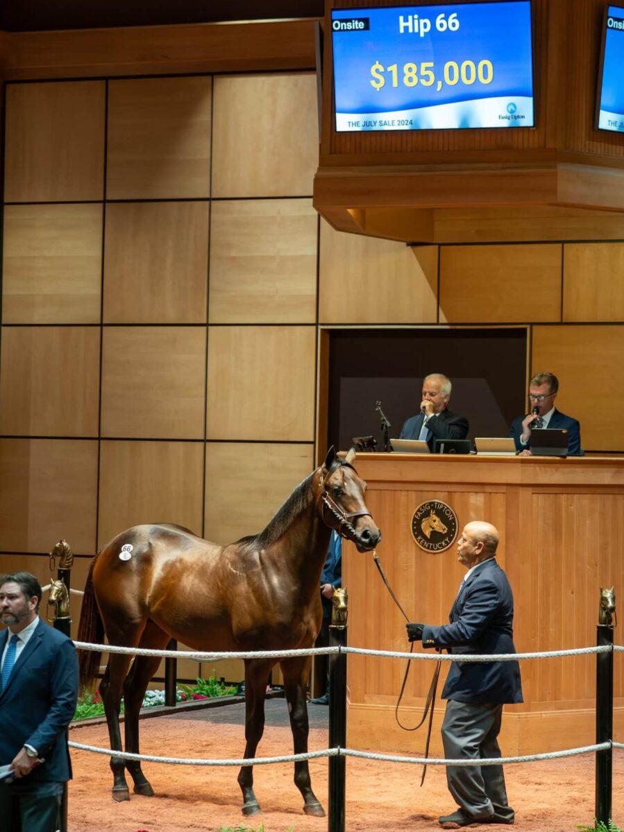 $185,000 at '24 F-T July | Colt o/o Quirky | Purchased by Bradley Thoroughbreds | Nicole Finch photo