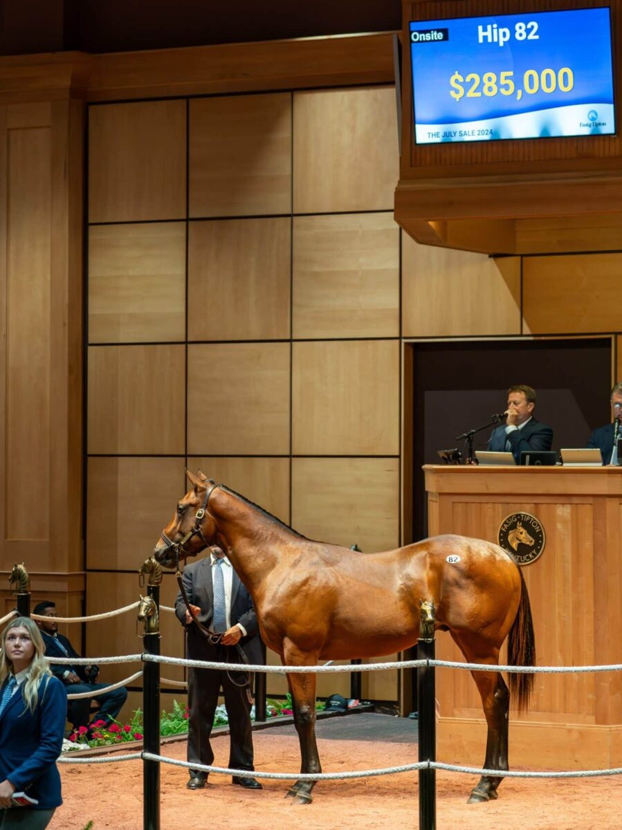 $285,000 at '24 F-T July | Colt o/o Twitterpated | Purchased by de Meric Sales | Z photo