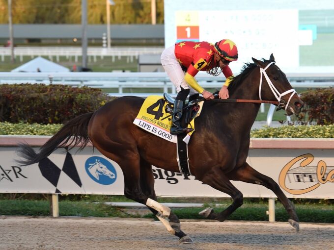 Life Is Good | 2022 Pegasus World Cup-G1 | Coglianese photo