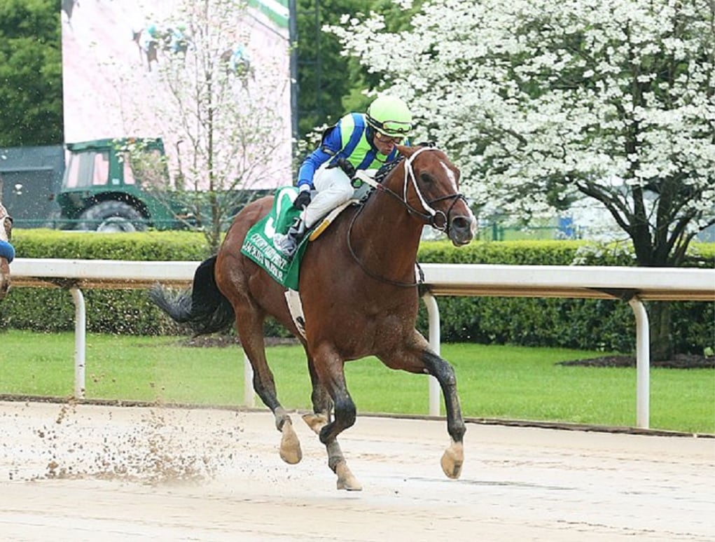 Champion Jackie's Warrior returns a winner in the Count Fleet Sprint ...