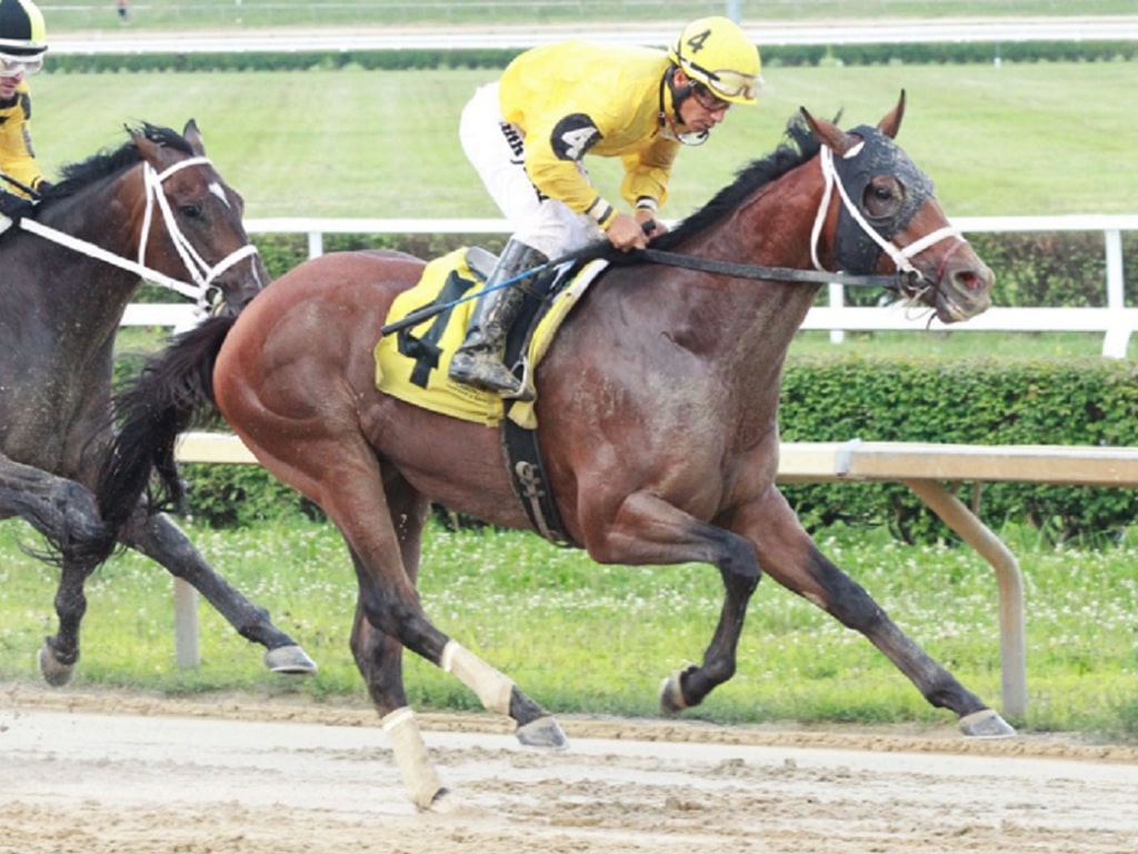 Fulsome a millionaire with WV Governor’s S. (G3) win
