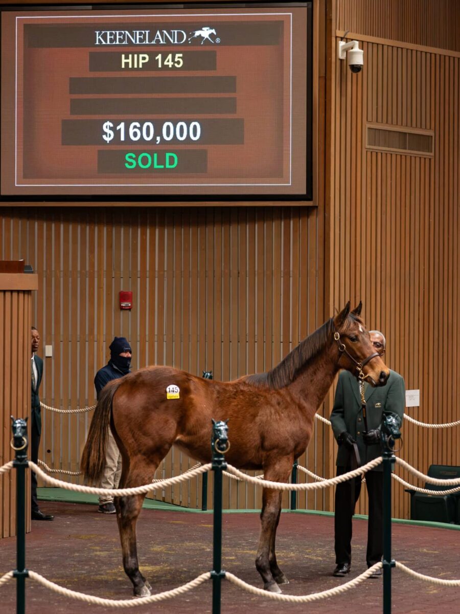 $160,000 at '25 KEEJAN | Colt o/o Crack of Dawn | Purchased by En Fuego Stables | Nicole Finch photo