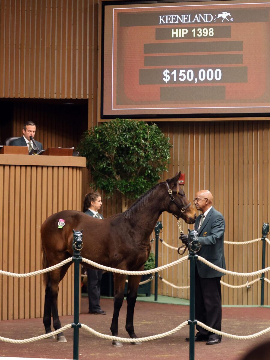 $150,000 at '24 KEENOV | Colt o/o Falconess | Purchased by Norevale Farm | Z photo