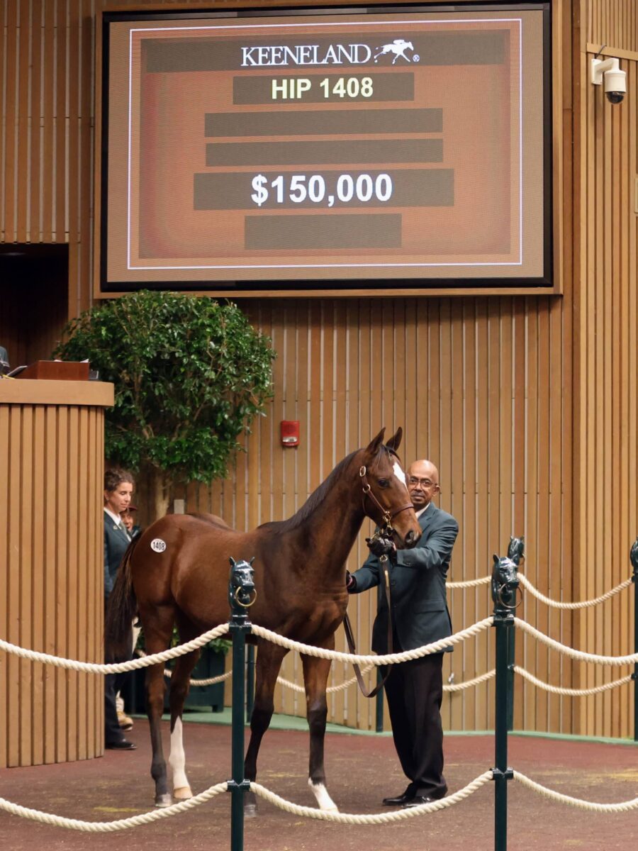 $150,000 at '24 KEENOV | Colt o/o Freethinker | Purchased by Dudley Racing | Z photo