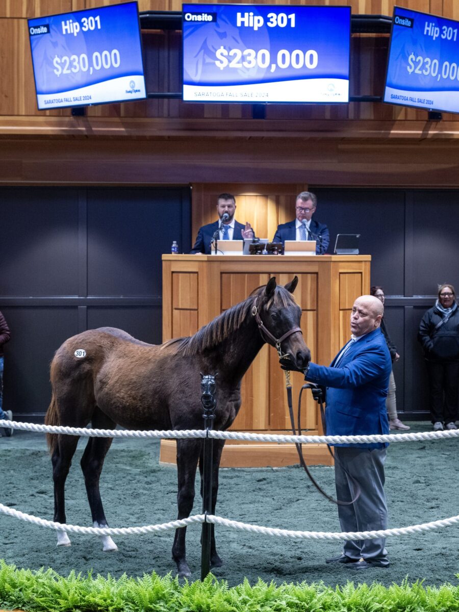 $230,000 Sale-Topper at '24 F-T Saratoga Fall | Filly o/o D'fashion | Purchased by Diamond I | Skip Dickstein photo