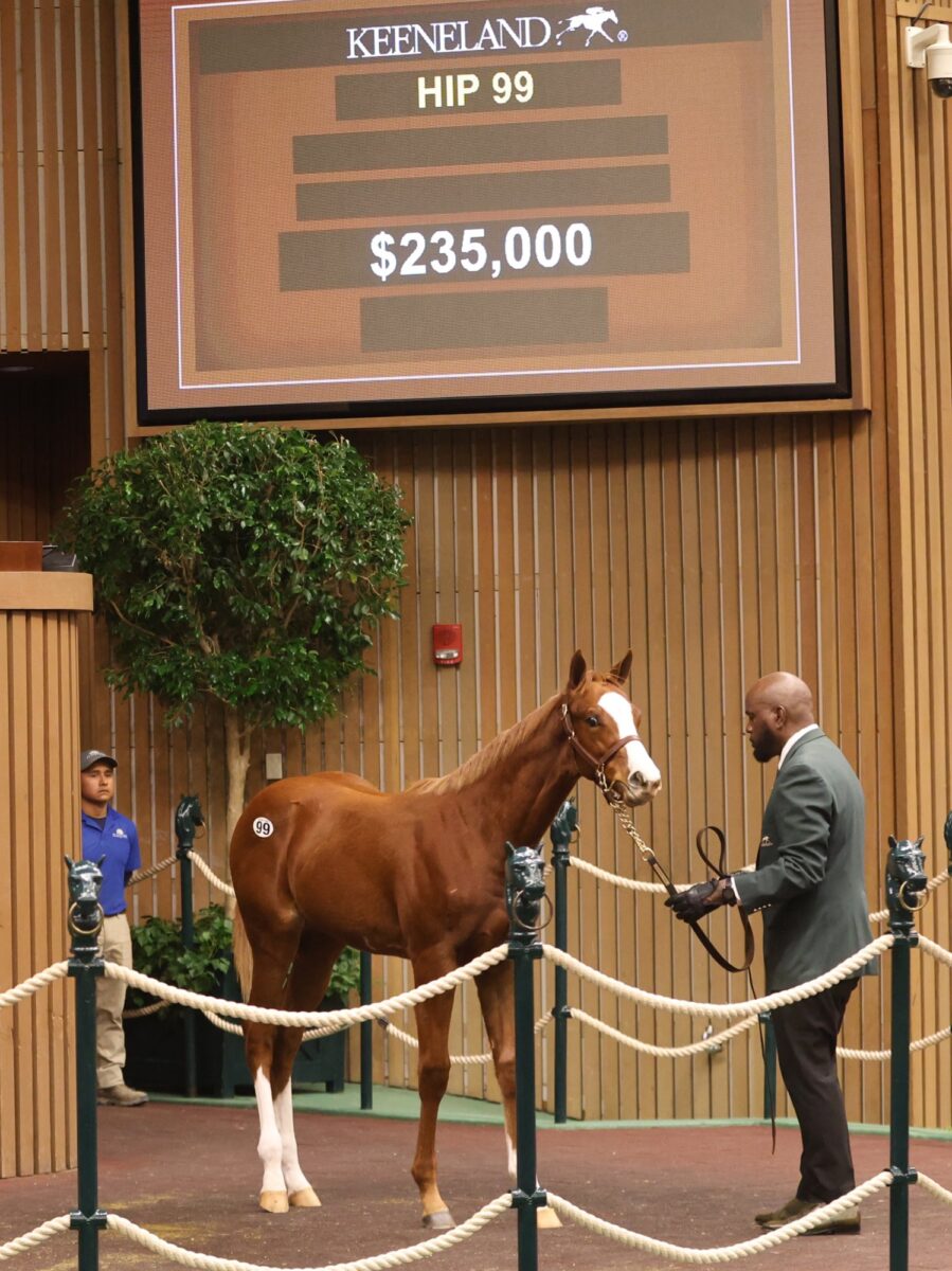 $235,000 at '24 KEENOV | Colt o/o Vertical Vision | Purchased by Cherry Knoll Farm | Z photo