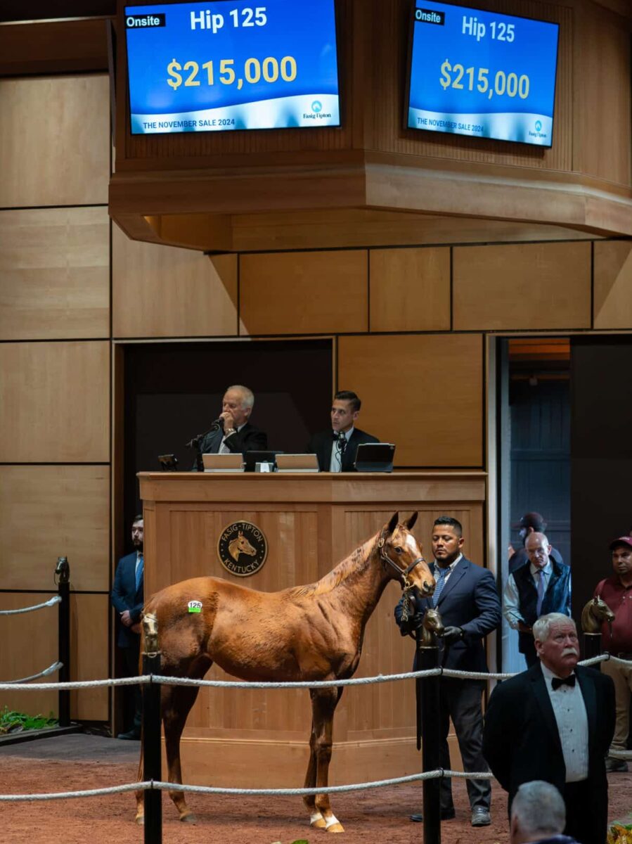 $215,000 at '24 F-T NOV | Filly o/o Ice Women | Purchased by Love/Linton, Agent | Nicole Finch photo