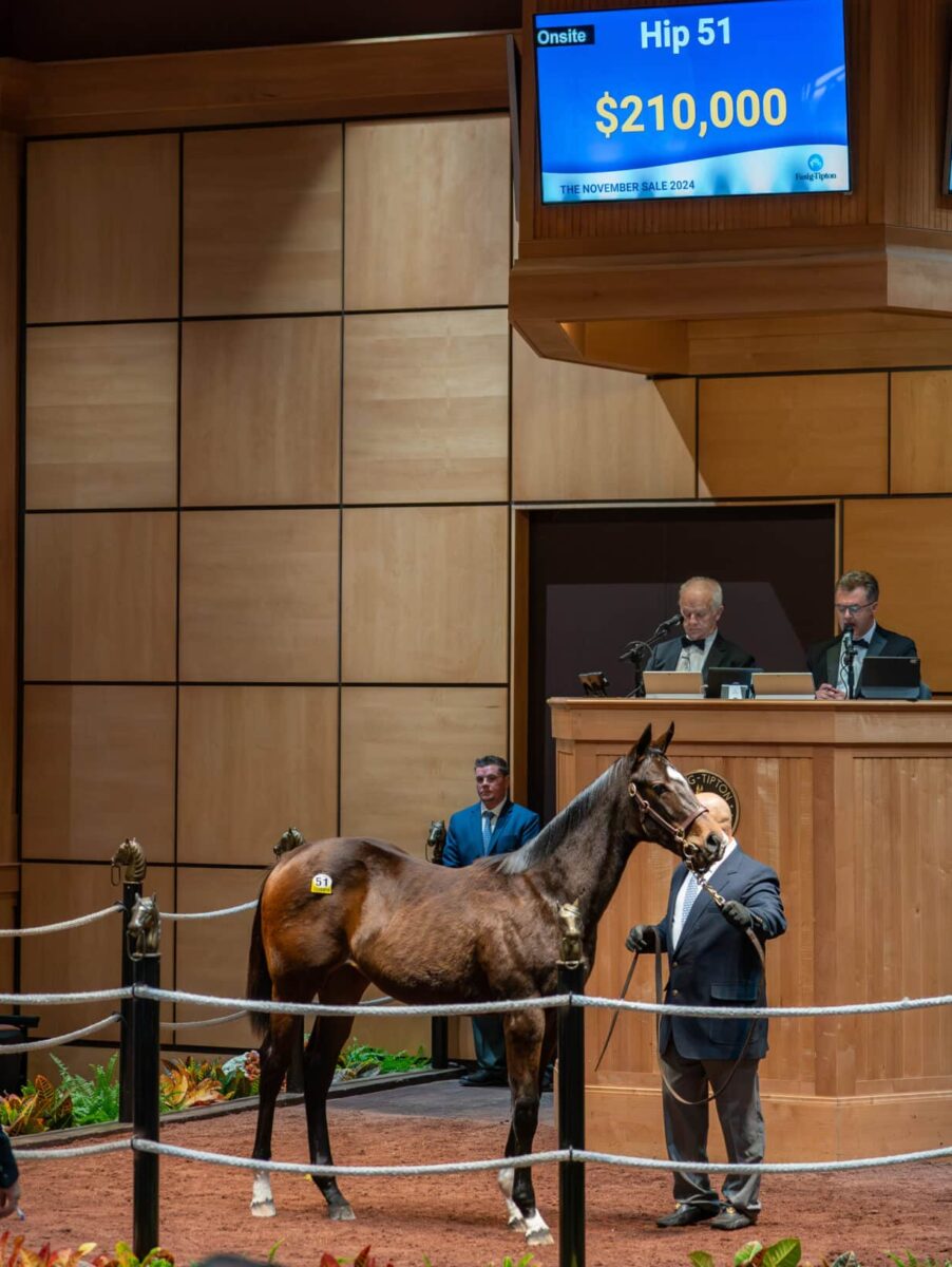 $210,000 at '24 F-T NOV | Filly o/o What a Fox | Purchased by Preferred Partners | Nicole Finch photo