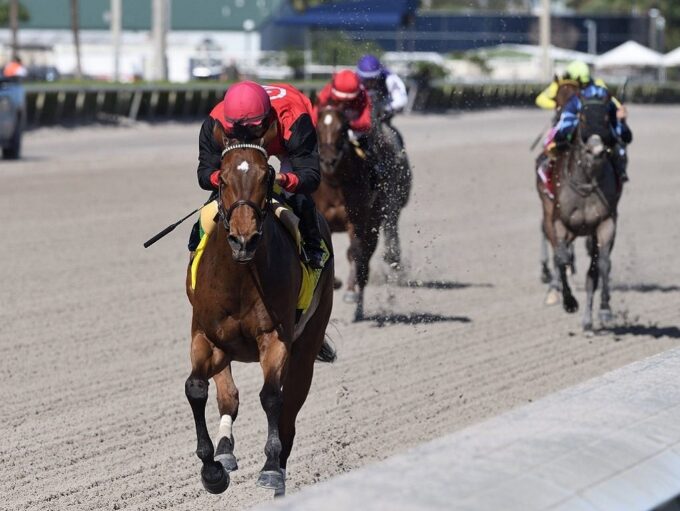 Frank's Rockette rolls in the 2022 Sugar Swirl S. (G3) at Gulfstream Park - Coglianese photo