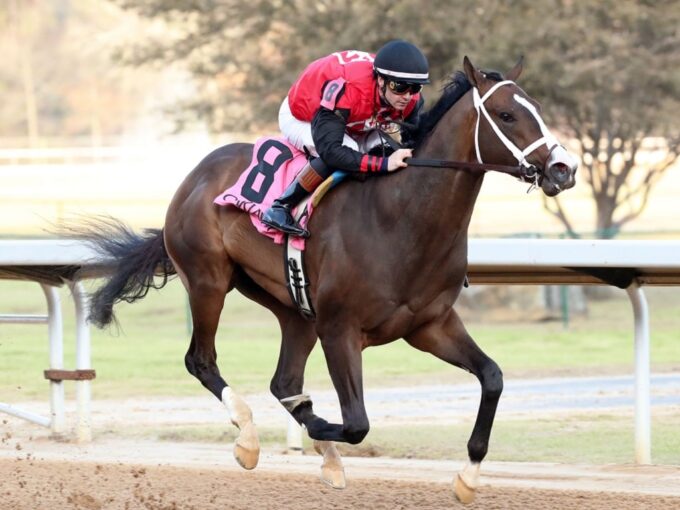 Victory Formation cruises to victory in the 2023 Smarty Jones S. - Coady photo