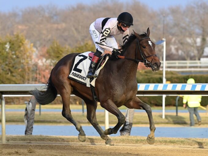 Occult cruises to victory in the 2023 Busanda S. - Chelsea Durand/NYRA