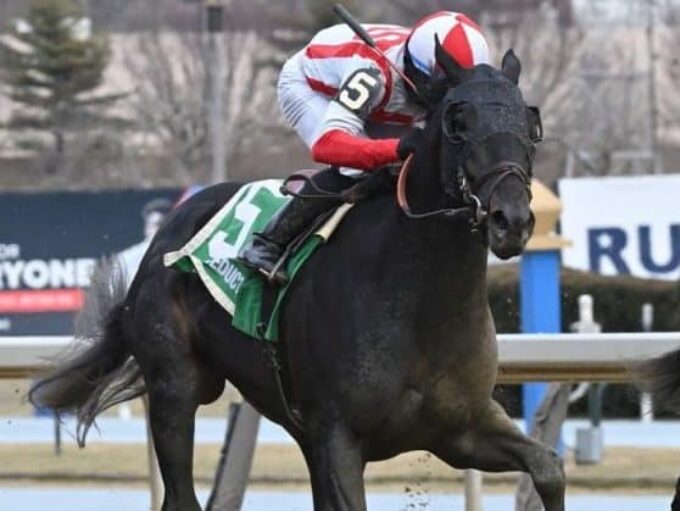 Neural Network | 2023 Gander S. winner at Aqueduct | NYRA photo