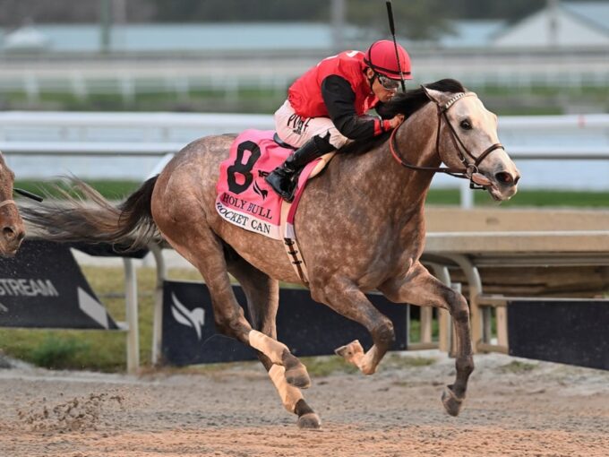 Rocket Can winning the Holy Bull S. (G3) at Gulfstream Park - Lauren King