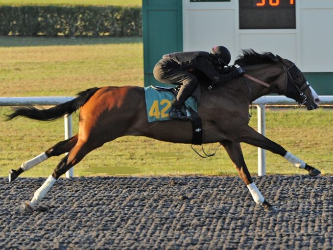 Maximus Mischief's hip No. 421 breezing for the OBS March 2yo sale - Tibor Szlavik