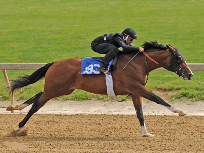 Goldencents' hip No. 193 breezing for the 2023 Fasig-Tipton Midlantic 2yo sale - Tibor Szlavik photo