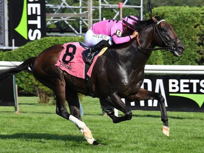 Casa Creed winning the 2023 Kelso S. (G3) at Saratoga - Janet Garaguso/NYRA