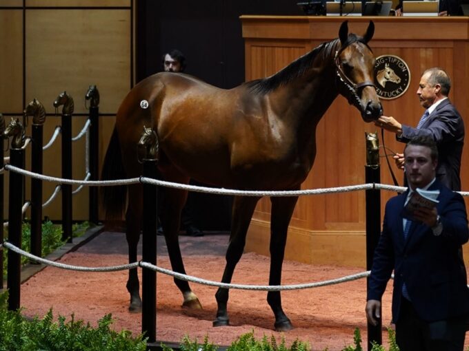 Vekoma's $200,000 colt, hip 64 at the 2023 Fasig-Tipton July Yearling sale - Matt Taylor