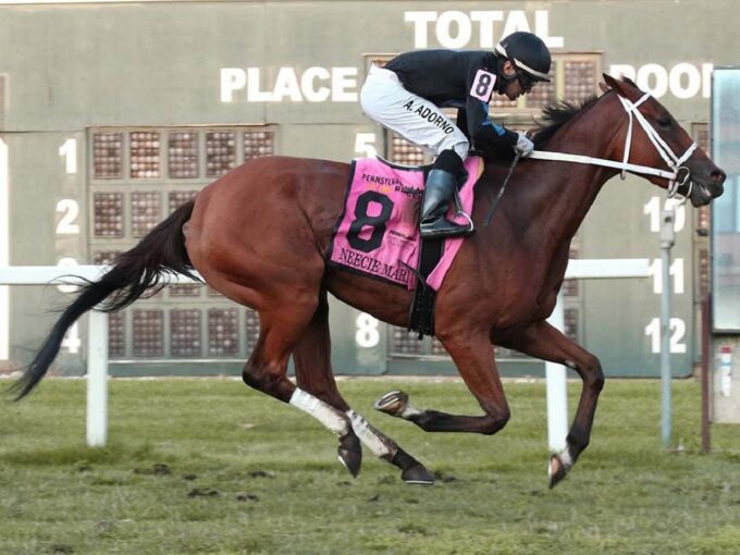 Neecie Marie winning the 2023 Mrs. Penny S. at Parx - Equiphoto