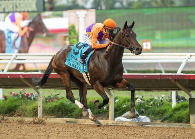 Leading 2yo filly Tamara dominates the 2023 Del Mar Debutante (G1) | Benoit photo