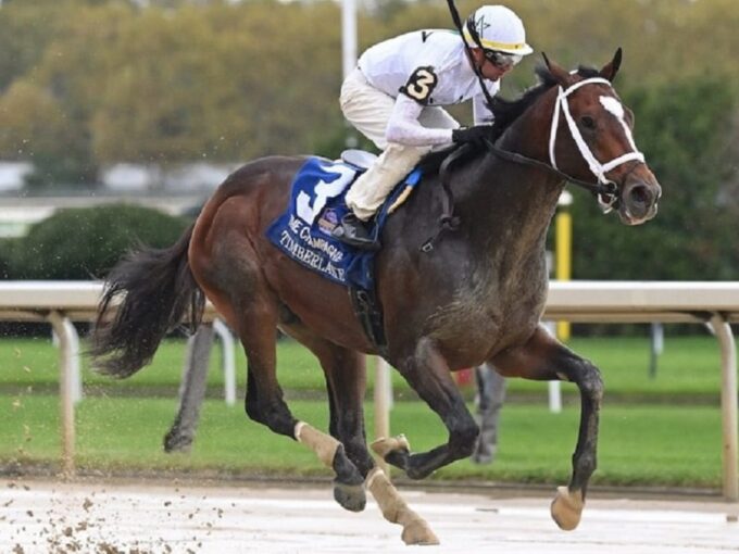 Timberlake | 2023 Champagne-G1 | NYRA photo