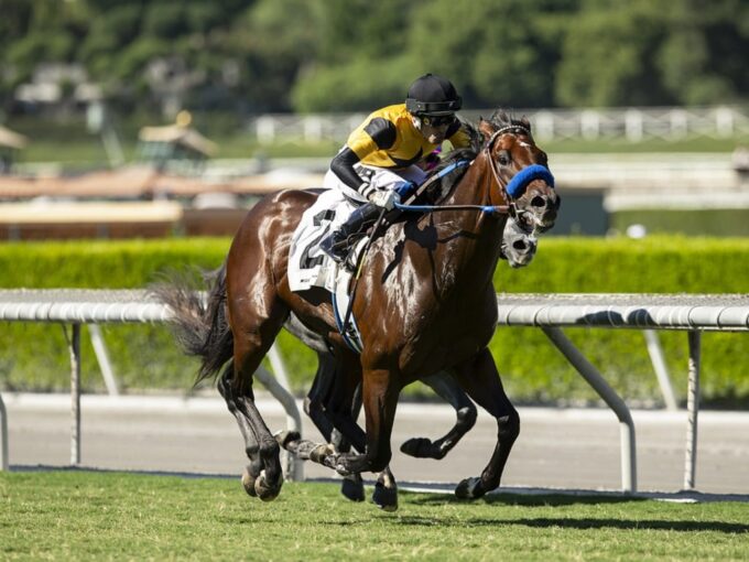 Slider wins the Speakeasy S. for his first black type win - Benoit photo