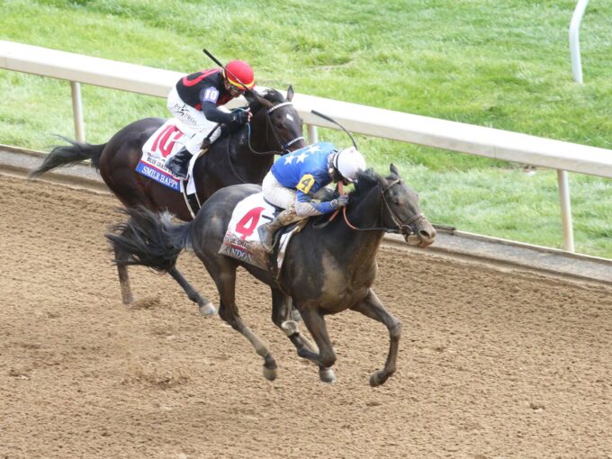 Zandon | 2022 Blue Grass S. (G1) at Keeneland | Coady photo