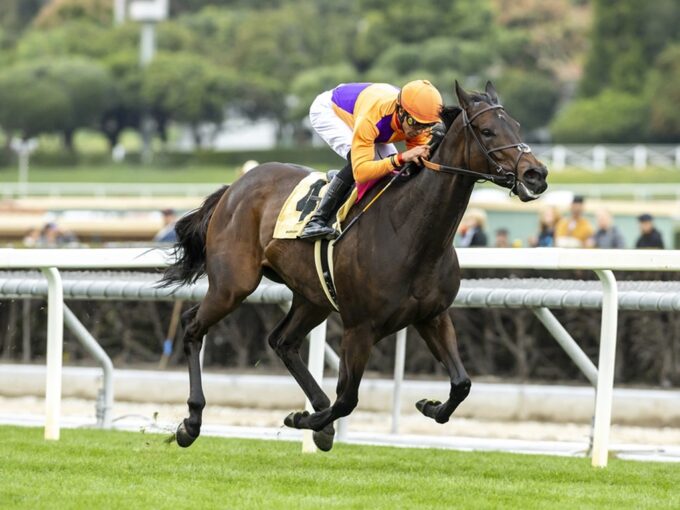 Ruby Nell wins the Lady of Shamrock S. - BENOIT PHOTO