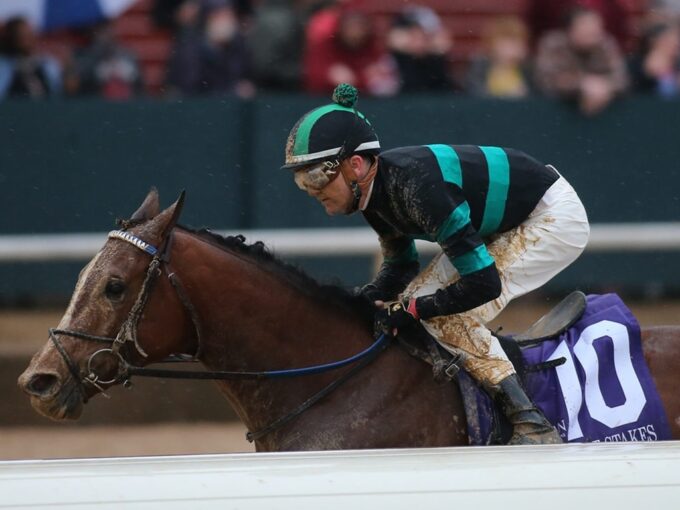 Mystik Dan cruises in a rain-soaked Southwest S. (G3) - Coady photo