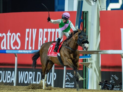 Laurel River | 2024 Dubai World Cup-G1 | Mathea Kelly photo