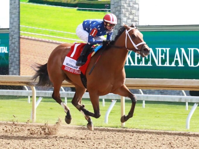 Denim and Pearls becomes the third GSW of the weekend for Into Mischief in the Beaumont S. (G2) - Alyssa Cumming/Coady photography