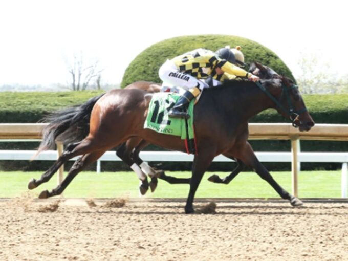 The Queens M G digs in to become the first winner for Thousand Words Apr. 7 at Keeneland - Coady photography