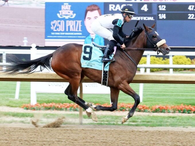 Fortuna Mia, Vekoma's first winner, May 13 at Horseshoe Indianapolis - Coady photography