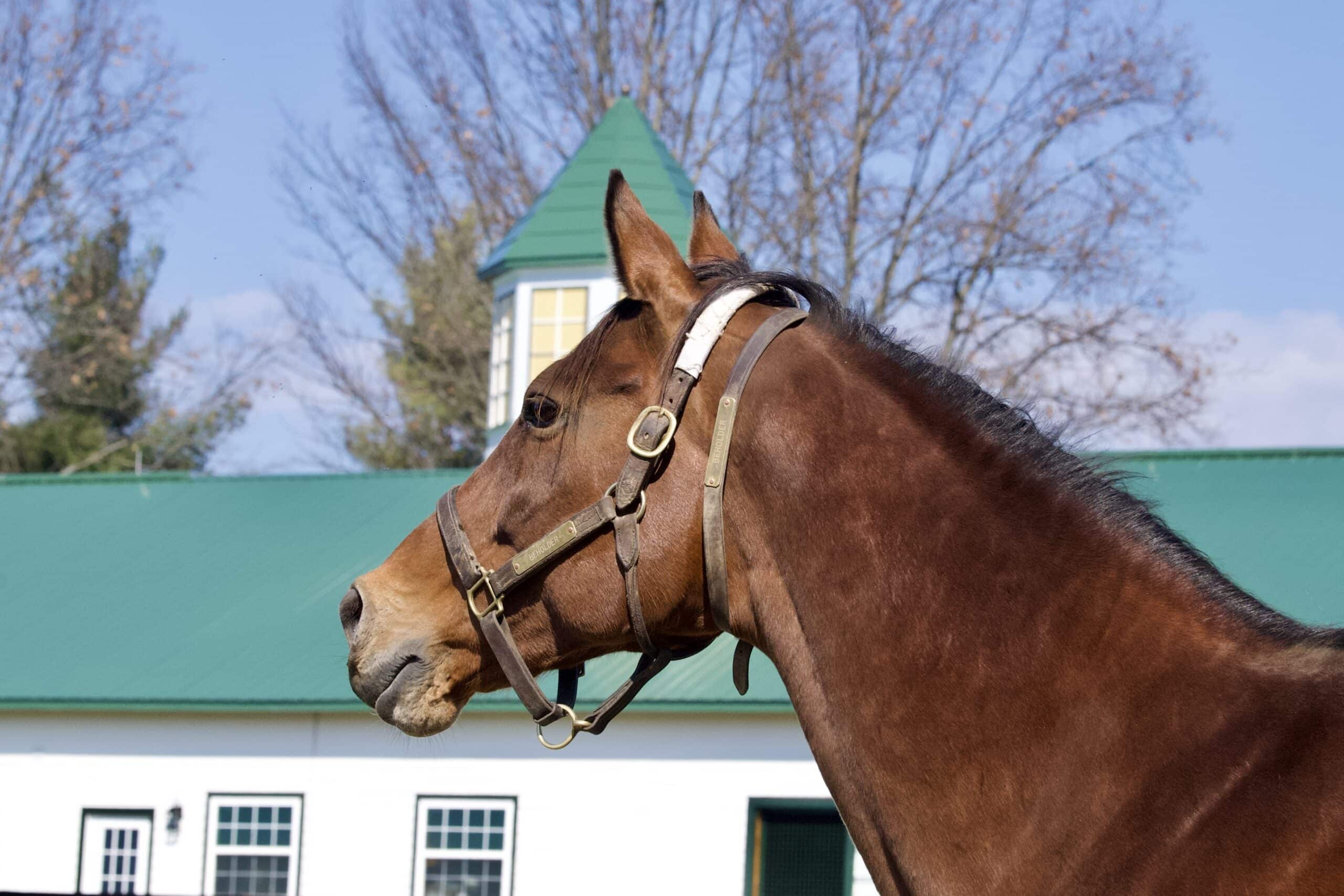 We're Back!! - Spendthrift - A Kentucky Thoroughbred Stallion Farm