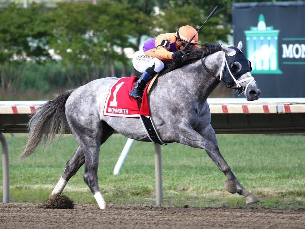 3yo colt Tuscan Sky dominates the Pegasus Stakes at Monmouth by 6 3/4 lengths, earning a 99 Beyer | Equiphoto