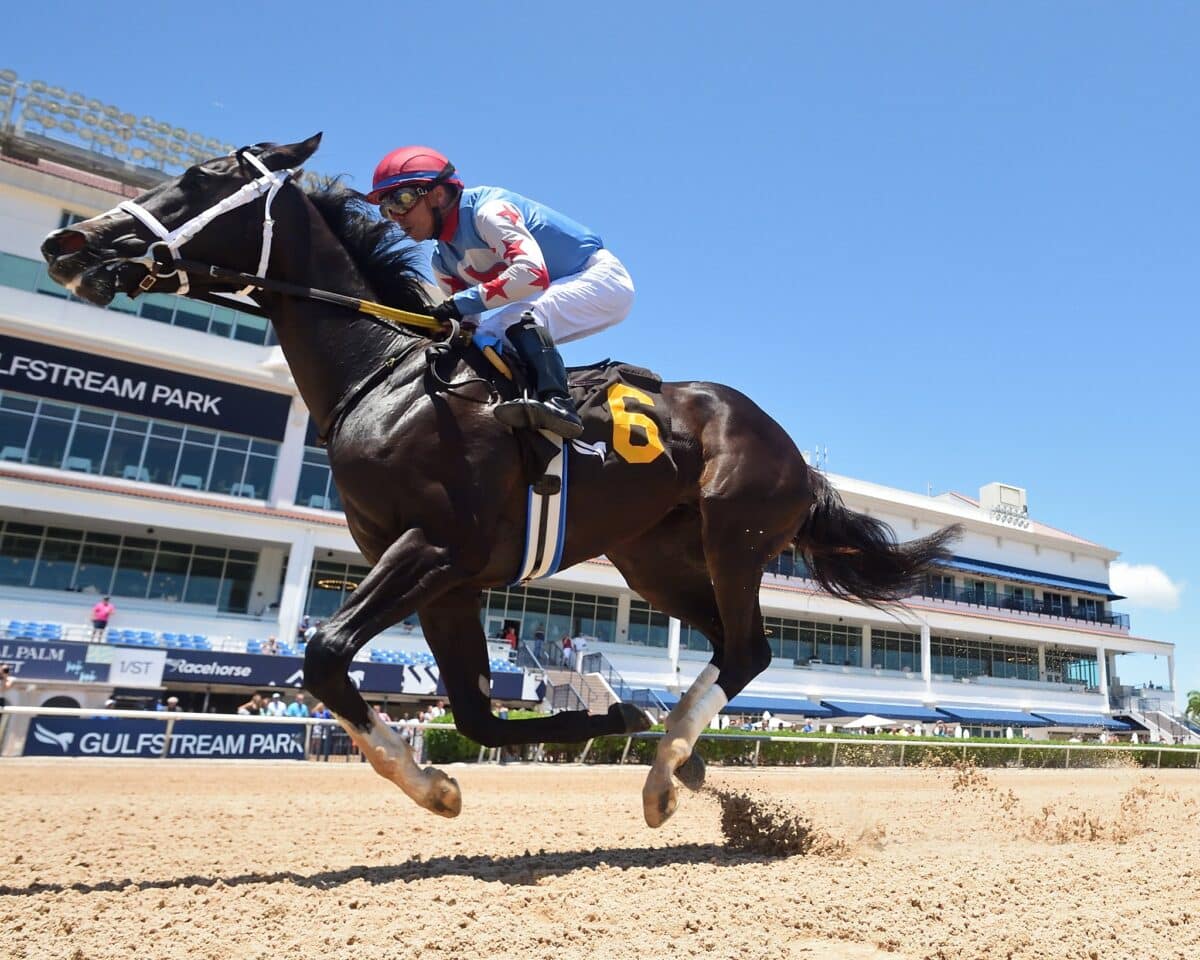 Andrea (Thousand Words) wins Debut by 6 1/2 lengths || Photo Credit: Gulfstream Park