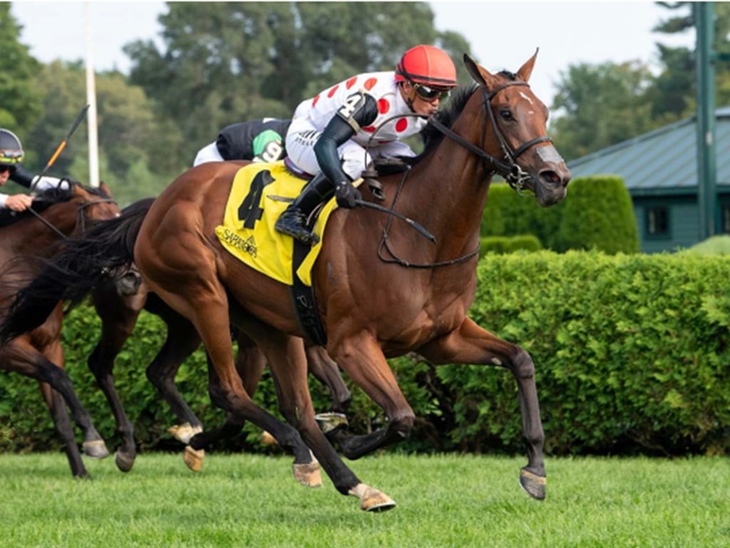 Charlotte's Heart winning her Saratoga debut on Aug. 25 - Sarah Andrew/NYRA