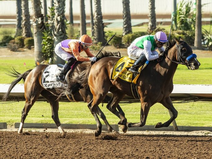 Show Card holds off Coffee In Bed to win the Dark Mirage S. - Benoit photo