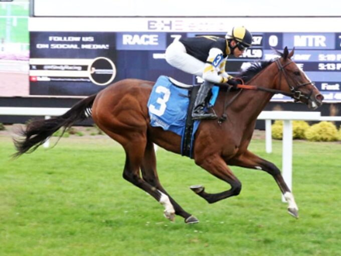 Indigo Stunner in hand to break her maiden Sept. 26 at Horseshoe Indianapolis - Coady media