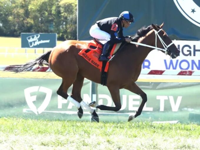 Neecie Marie wins the $2 million Ladies Marathon at Kentucky Downs - Coady media